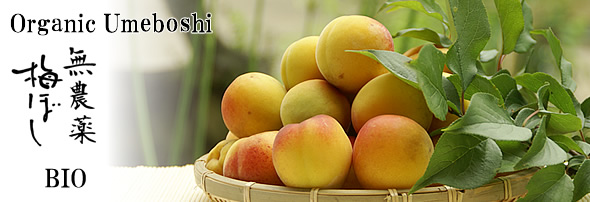 Organic Umeboshi,Pesticide-free production 